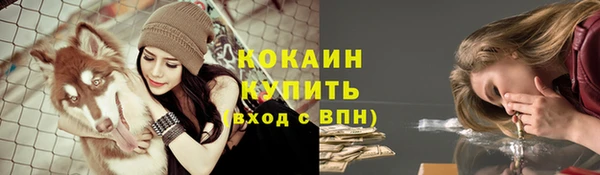 круглые Богданович